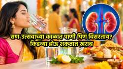 सण-उत्सवाच्या काळात पाणी पिणं विसरताय? किडन्या होऊ शकतात खराब,डिहायड्रेशनपासून वाचण्यासाठी काय करावं, वाचा
