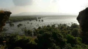 Supreme Court Wetland Order