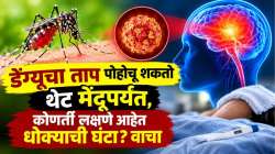 डेंग्यूचा ताप पोहोचू शकतो थेट मेंदूपर्यंत, कोणती लक्षणे आहेत धोक्याची घंटा? वाचा डॉक्टरांचा सल्ला