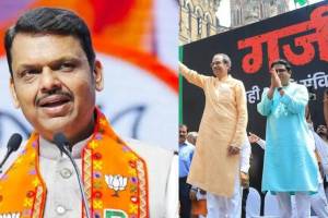 Devendra Fadnavis Garjana Morcha Remark