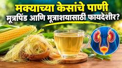 मक्याचे केस कचऱ्यात फेकून देताय? मग थांबा! मूत्रपिंड, यकृत आणि मूत्राशयासाठी किती फायदेशीर? डॉक्टरांकडून जाणून घ्या