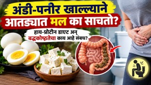 Egg and paneer causes constipation