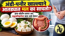 अंडी-पनीर खाल्ल्याने आतड्यात मल का साचतो? हाय-प्रोटीन डाएट अन् बद्धकोष्ठतेचा काय आहे संबध?