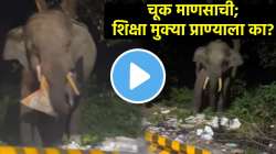 चूक माणसाची; शिक्षा मुक्या प्राण्याला का? भुकेलेल्या हत्तीवर आली कचरा खाण्याची वेळ; VIDEO पाहून हळहळले नेटकरी