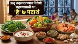 Seasonal Change Diet Tips : पहाटे गारवा, दिवसभर उकाडा; ऋतू बदलाचा शरीरावर काय परिणाम होतो? अशावेळी कोणते पदार्थ खावेत?