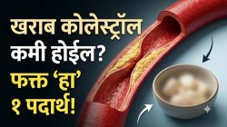 नसांत साचलेलं खराब कोलेस्ट्रॉल झटक्यात साफ होईल! फक्त स्वयंपाकघरातला ‘हा’ १ पांढरा पदार्थ खा; ब्लॉक झालेल्या नसा मोकळ्या होणार!
