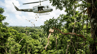 Guam Brown Tree Snake infestation USDA research | Acetaminophen poisoned mice helicopter drop operation | ग्वाम बेटावर सापांचा नायनाट करण्यासाठी हेलिकॉप्टर मोहीम | अ‍ॅसिटामिनोफेन औषधयुक्त उंदरांचा जंगलात वर्षाव