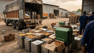 Akola FDA raid on unhygienic sweets from Gujarat | Tukaram Mundhe FDA action Akola news | Seized adulterated sweets stock in Akola Maharashtra | Food Safety Inspector raid Akola transport hub