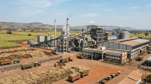 Maharashtra sugar factory empowerment policy | Cooperative sugar industry study group Maharashtra | Babasaheb Patil co operative sugar mills reform | Maharashtra sugar mills financial revival framework