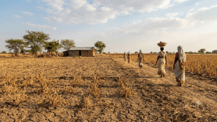 maharashtra drought land revenue waiver | nagpur farmers relief news | maharashtra government shetkari madad 2026 | kunda raut nagpur zp