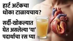 हार्ट अटॅकचा धोका होईल कमी! सर्दी-खोकल्यात घेत असलेल्या ‘या’ पदार्थाचा रस पिऊन पाहा; शिरांमध्ये साचलेलं घाण कोलेस्ट्रॉल बाहेर पडणार!