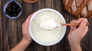 Health Benefits Of Curd October Heat 2026