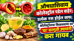 औषधांशिवाय कोलेस्ट्रॉल पडेल बाहेर; प्रत्येक नस होईल साफ; कोलेस्ट्रॉलचा किळसवाणा थर घरगुती उपायांनी करा गायब, ‘हे’ ५ पदार्थ नक्की खा