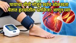 पायाचा बीपी मोजून खरंच ओळखता येतात हृदयातील ब्लॉकेज? जाणून घ्या डॉक्टरांनी सांगितलेला ‘हा’ सोपा फॉर्म्युला
