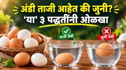 अंड्यांचे फायदे जाणून फक्त विकत घेऊ नका; अंडी ताजी आहेत की जुनी? ‘या’ ३ पद्धतींनी ओळखा