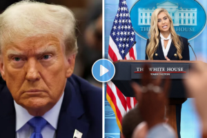 Katie Zacharia Donald Trump Press Secretary press conference | Katie Zacharia Husband slip of tongue video | केटी जकारिया व्हाईट हाऊस प्रेस सेक्रेटरी | डोनाल्ड ट्रम्प प्रेस सेक्रेटरी केटी जकारिया पत्रकार परिषद