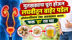 मुतखड्याचा चुरा होऊन लघवीतून बाहेर पडेल; ऑपरेशनशिवाय एका आठवड्यात आराम, फक्त ‘हा’ रस प्या