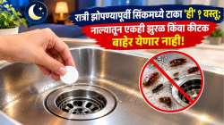 रात्री झोपण्यापूर्वी सिंकमध्ये टाका ‘ही’ १ वस्तू; सकाळी नालीतून बाहेर येणार नाही एकही झुरळ किंवा कीटक!