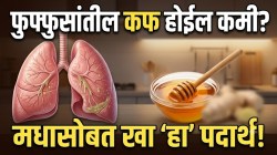 फुफ्फुसे स्वतःच बाहेर फेकतील घाण अन् चिकटलेला कफ; फक्त मधासोबत खा ‘हा’ स्वयंपाकघरातील पदार्थ; करून पाहा ४ सोपे घरगुती उपाय!