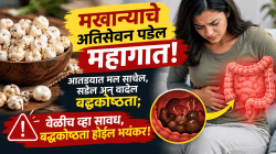 मखान्याचे अतिसेवन पडेल महागात!आतड्यात मल साचेल, सडेल अन् वाढेल बद्धकोष्ठता; वेळीच व्हा सावध, बद्धकोष्ठता होईल भयंकर!