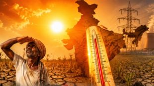 Mumbai BMC Warning Dangerous Trees Summer | Mumbai Tree Collapse Danger Heat Wave | BMC Tree Authority Mumbai News | Housing Society Tree Maintenance Guidelines BMC