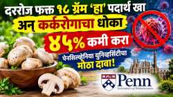 दररोज फक्त १८ ग्रॅम ‘हा’ पदार्थ खा अन् कॅन्सरचा धोका ४५% कमी करा; पेनसिल्व्हेनिया युनिव्हर्सिटीचा मोठा दावा!