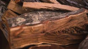 sandalwood city of india