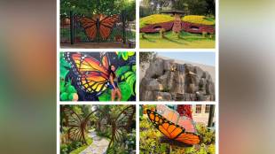 shirdi butterfly garden | namo udyan shirdi | shirdi nagar parishad development | ahmednagar tourism attraction