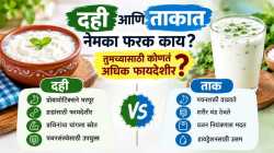 दही की ताक? आरोग्यासाठी दोघांपैकी काय जास्त फायदेशीर, जाणून घ्या