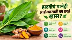 हळदच नाही, हळदीचं पानही खूप गुणकारी; रिकाम्या पोटी खाण्याचे फायदे