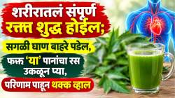 शरीरातलं संपूर्ण रक्त शुद्ध होईल; सगळी घाण बाहेर पडेल, फक्त ‘या’ पानांचा रस उकळून प्या, परिणाम पाहून थक्क व्हाल