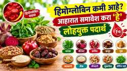 सतत थकवा, चक्कर येतेय? रक्ताची कमतरता असण्याची शक्यता; खा ‘हे’ पदार्थ