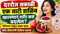 दररोज सकाळी एक वाटी डाळिंब खाल्ल्यानं शरीर कसं बदलेल? परिणाम पाहून थक्क व्हाल, वाचा डॉक्टरांनी दिलेला सल्ला…