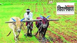 हमीभावाच्या वाढीचा शेतकर्‍यांना फायदा होईल?