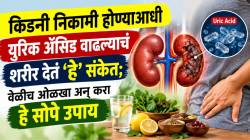 किडनी निकामी होण्याआधी युरीक अॅसीड वाढल्याचं शरीर देतं ‘हे’ संकेत; वेळीच ओळखा अन् करा डॉक्टरांनी सांगितलेले हे सोपे उपाय