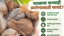 नारळाची बाहेरची साल निरुपयोगी नाही; जाणून घ्या तिचे भन्नाट फायदे