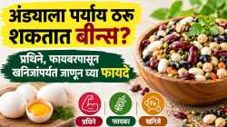 मांसाहार न करणाऱ्यांसाठी बीन्स ठरतील वरदान! अंड्याइतकेच पौष्टिक? जाणून घ्या फायदे