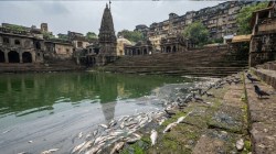 ऐतिहासिक बाणगंगा तलावात मृत माशांचा खच; धार्मिक विधींमुळे प्रदूषणात वाढ, जैवविविधता धोक्यात