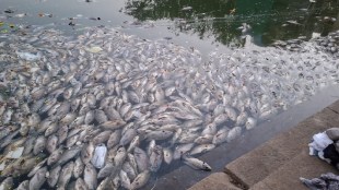 Banganga tank Mumbai dead fish | pollution in historical water body | Pitru Paksha ritual impact | BMC water quality testing Mumbai