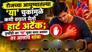 Heart attack 9 risk factors heart attack interheart lancet study prevention