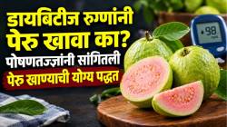 डायबिटीज रुग्णांनी पेरू खावा का? पोषणतज्ज्ञांनी सांगितली पेरू खाण्याची योग्य पद्धत