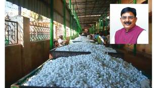 maharashtra-silk-farming