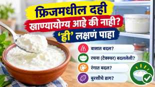 Dahi Health Benefits