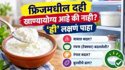 दही कितीही दिवस फ्रिजमध्ये ठेवू नका! खराब दही ओळखण्याची सोपी पद्धत जाणून घ्या…
