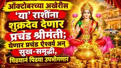 ऑक्टोबरच्या अखेरीस ‘या’ राशींना शुक्रदेव देणार प्रचंड श्रीमंती; येणार प्रचंड ऐश्वर्य अन् सुख-समृद्धी, पिढ्यानं पिढ्या उपभोगणार