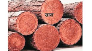 Wood Durability Science