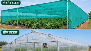 Nashik Kumbh Mela Vegetable Farming