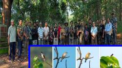 सिंधुदुर्ग सावंतवाडी येथे ‘वाईल्ड कोकण’तर्फे पक्षी निरीक्षण; २१ पक्षी प्रजातींची नोंद
