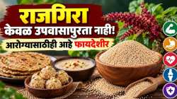 नवरात्रीत आवर्जून खा राजगिरा! शरीराला मिळतील अनेक पोषक घटक