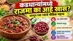 प्रथिने, फायबर अन् लोहाचा खजिना! जाणून घ्या राजमा खाण्याचे फायदे